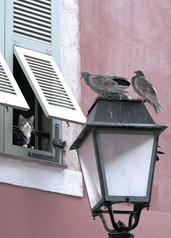 史上“燃炸”快攻:速度与力量的极致碰撞