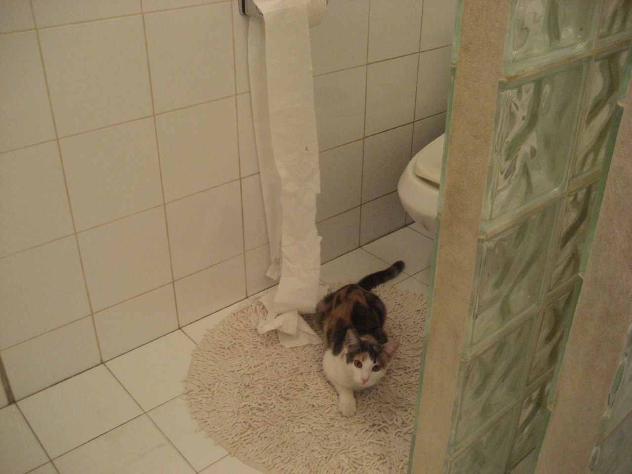 凯尔特人在末节发力，塔图姆的连续得分带领球队逆转！，凯尔特人塔图姆超清壁纸