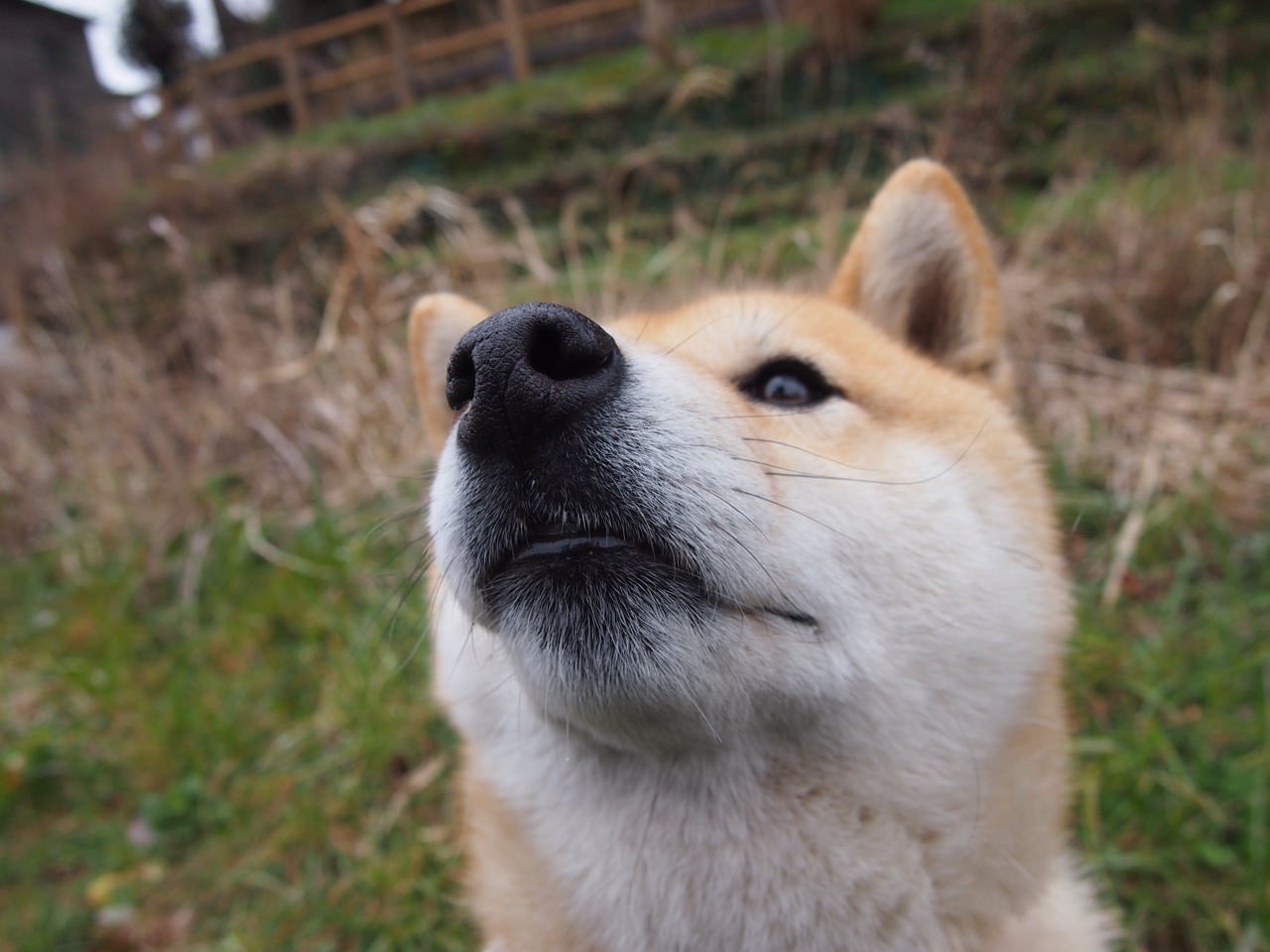 国际乒联推广青少年赛事,提升运动参与度,国际乒联团体赛新规则